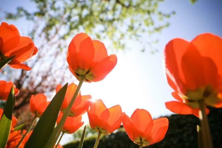 Zon&Zee Vakanties Duinzigt Villa Нордвейкерхаут Екстериор снимка